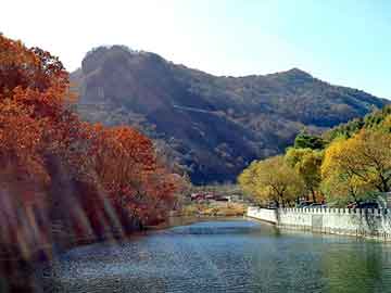 天天彩好彩天天免费，深圳广明发怎么样